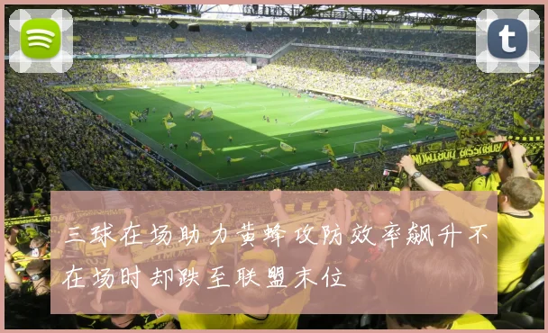 三球在场助力黄蜂攻防效率飙升不在场时却跌至联盟末位
